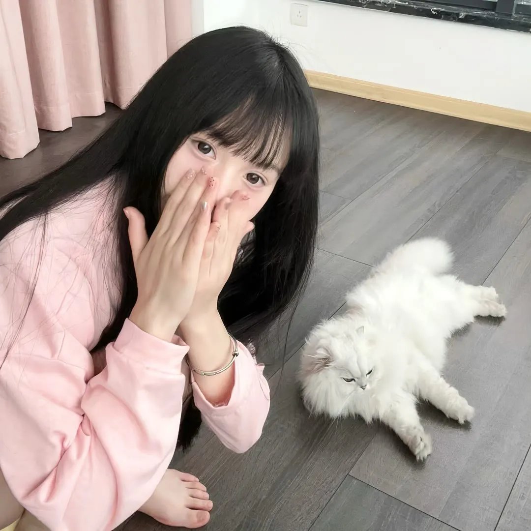 倾城歌手 海报
